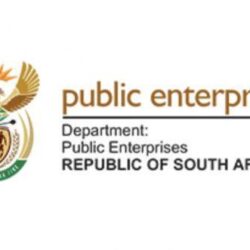 Department of Public Enterprises TENDER