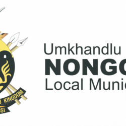 Nongoma Local Municipality TENDER