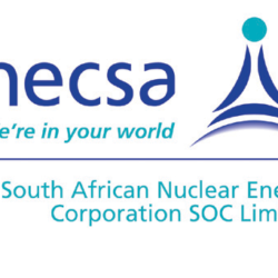 South African Nuclear Energy Corporation Limited TENDER