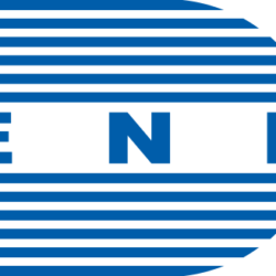 DENEL (Pty) Ltd TENDER