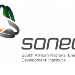 SOUTH AFRICAN NATIONAL ENERGY DEVELOPMENT INSTITUTE